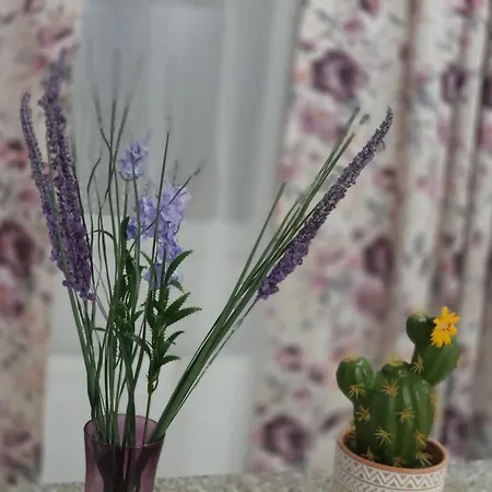 Lägenhet Train Station Braşov