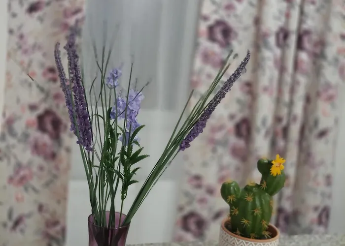 Lägenhet Train Station Braşov